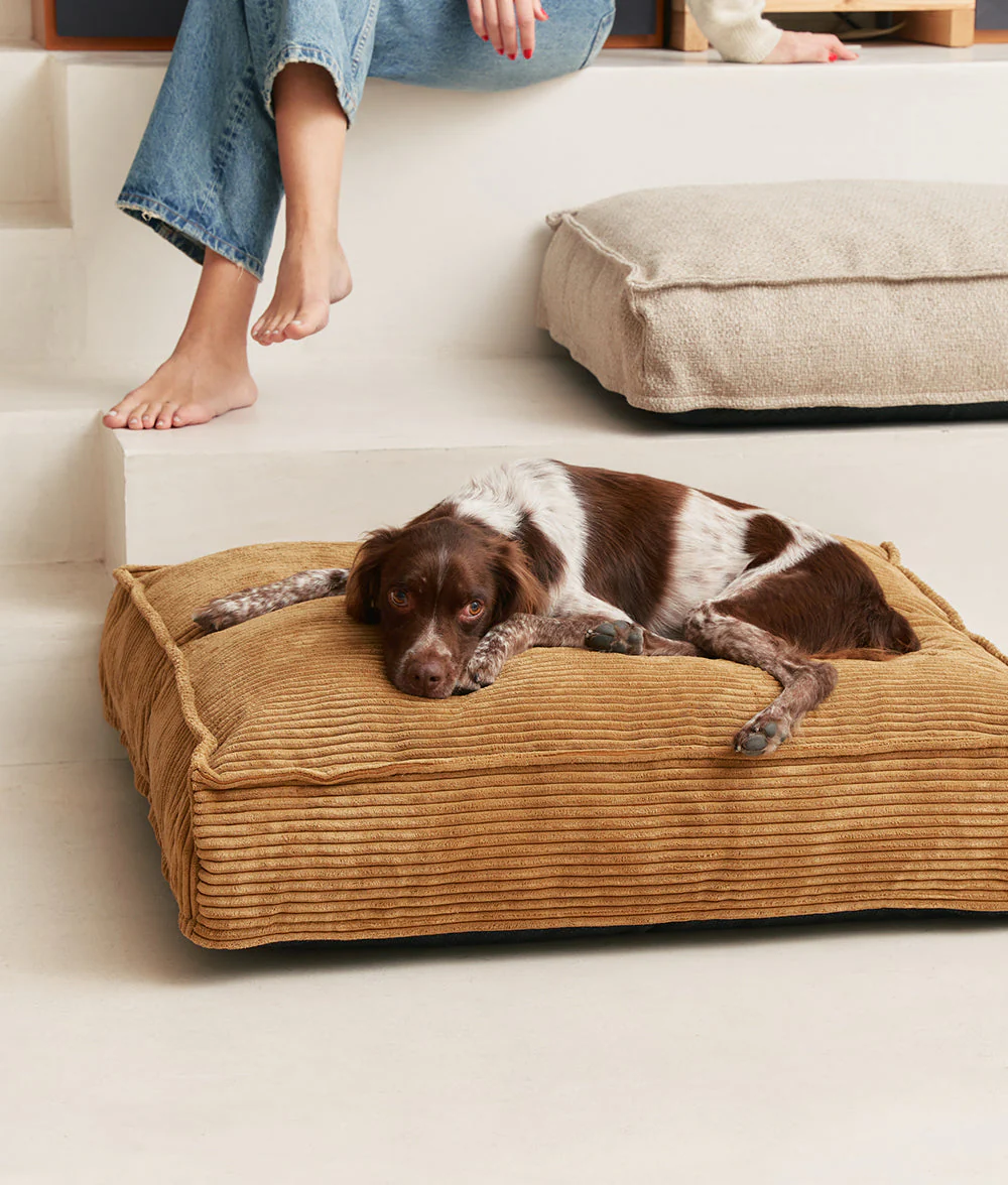 Cafide Cama De Material Reciclado Para Perro Con Tejido De Pana Mostaza. Modelo Cuadra. - Image 2
