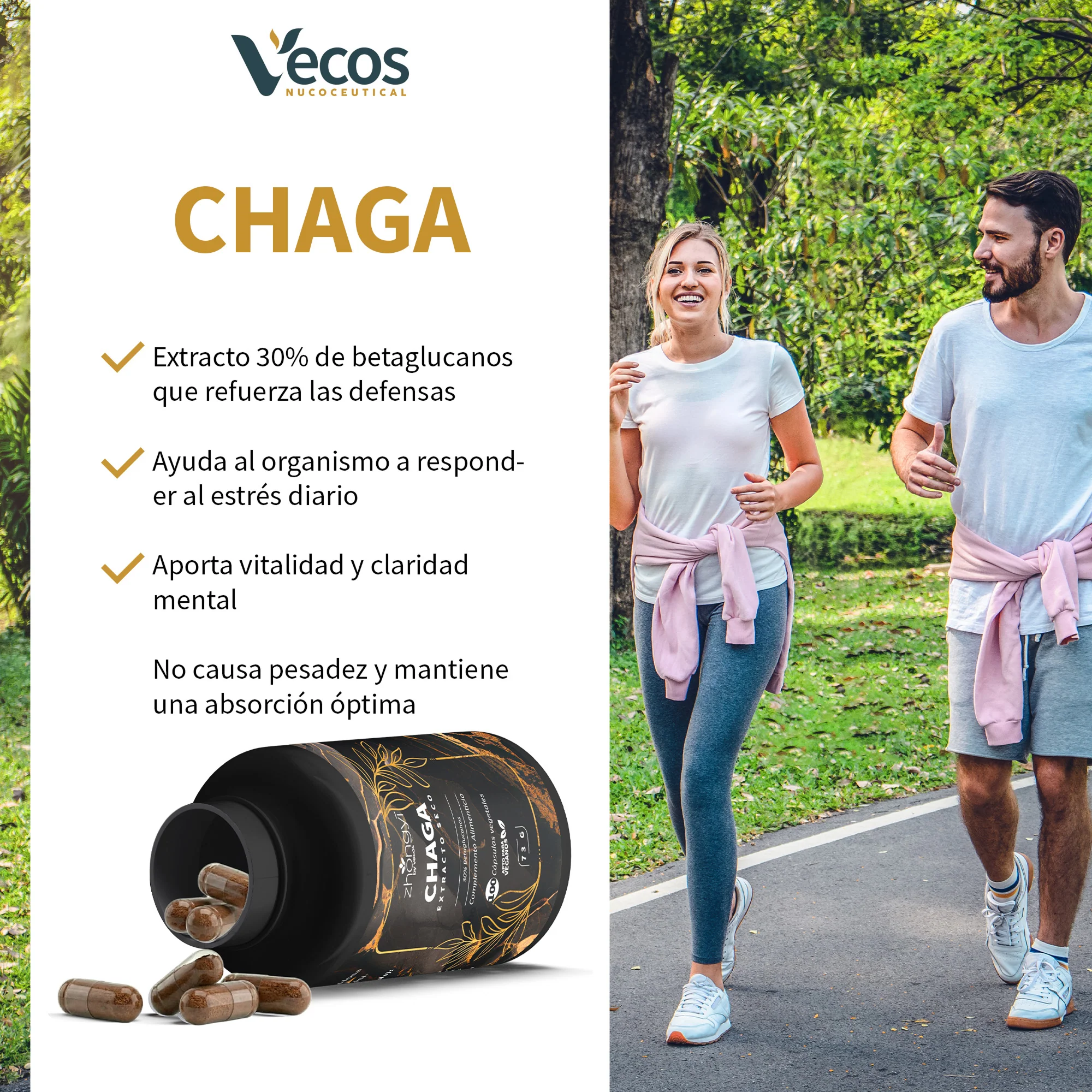 Chaga Zhongyi Vecos 100 Cápsulas | Antioxidante Y Defensa Celular | 500 Mg Con 30% Betaglucanos - Image 4
