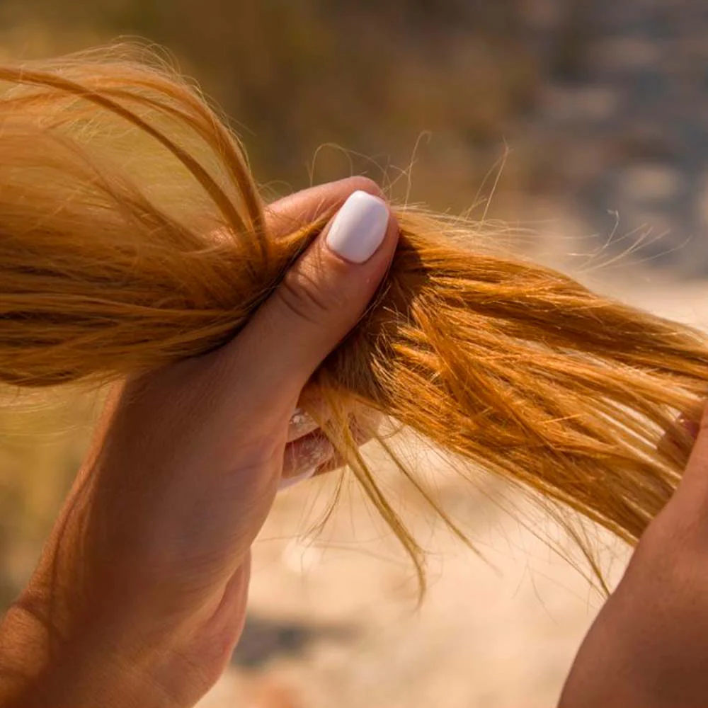 Champú Sólido Cabello Seco o quebradizo - 100% Natural - Previene Puntas Abiertas - Hecho En España - 1 ud. - Image 2