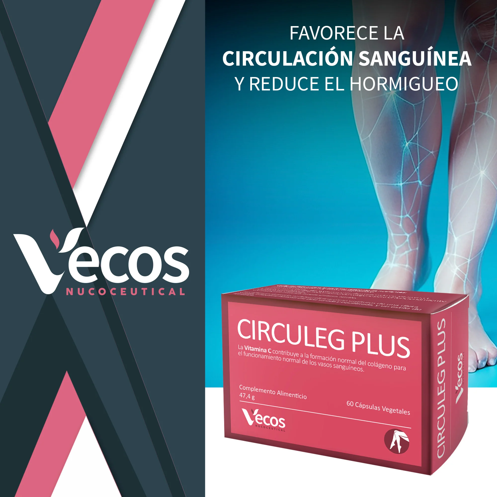 Circuleg Plus Vecos 60 Cápsulas | Piernas Ligeras Y Prevención De Varices | Uva, Rusco, Ginkgo Y Vitamina C - Image 2