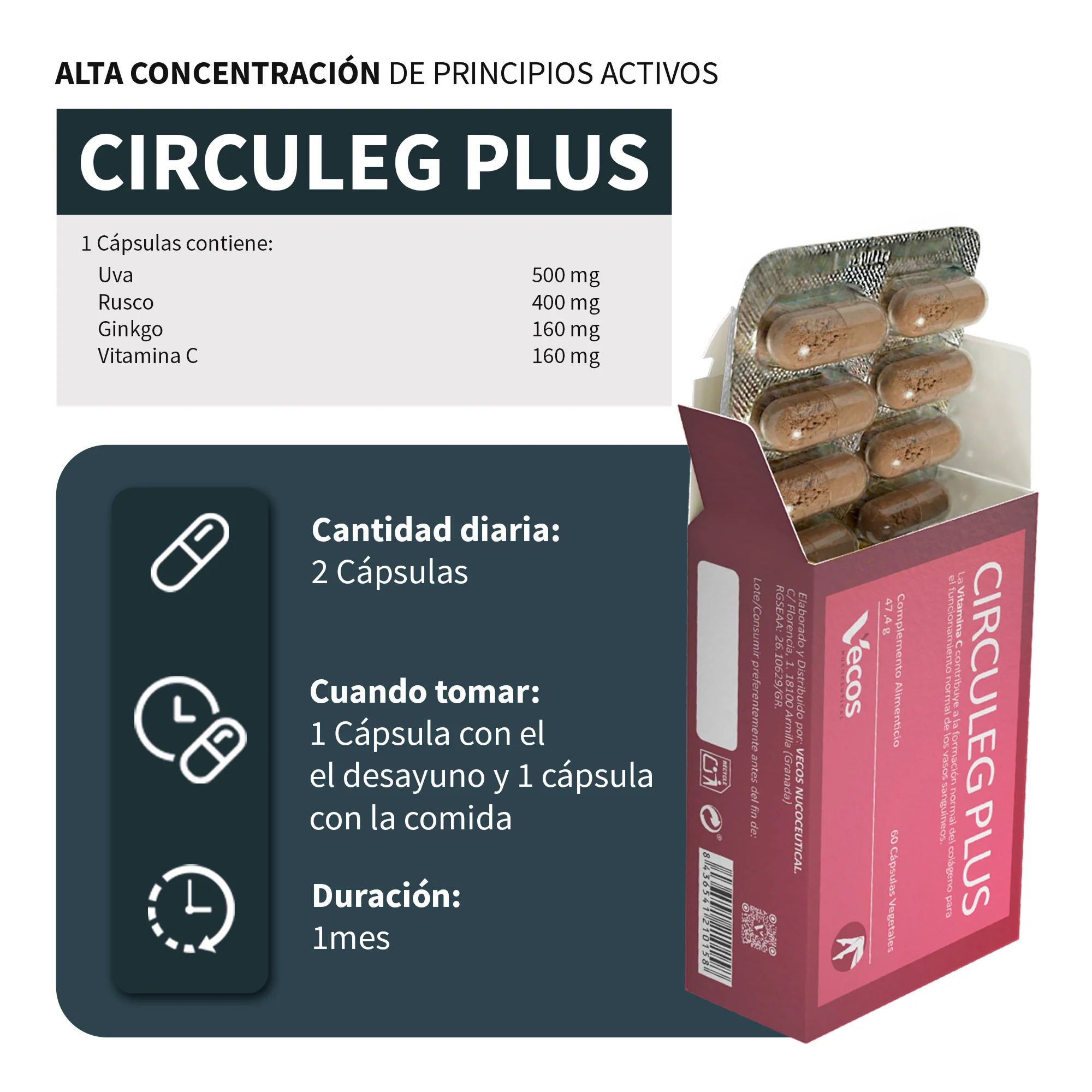 Circuleg Plus Vecos 60 Cápsulas | Piernas Ligeras Y Prevención De Varices | Uva, Rusco, Ginkgo Y Vitamina C - Image 3