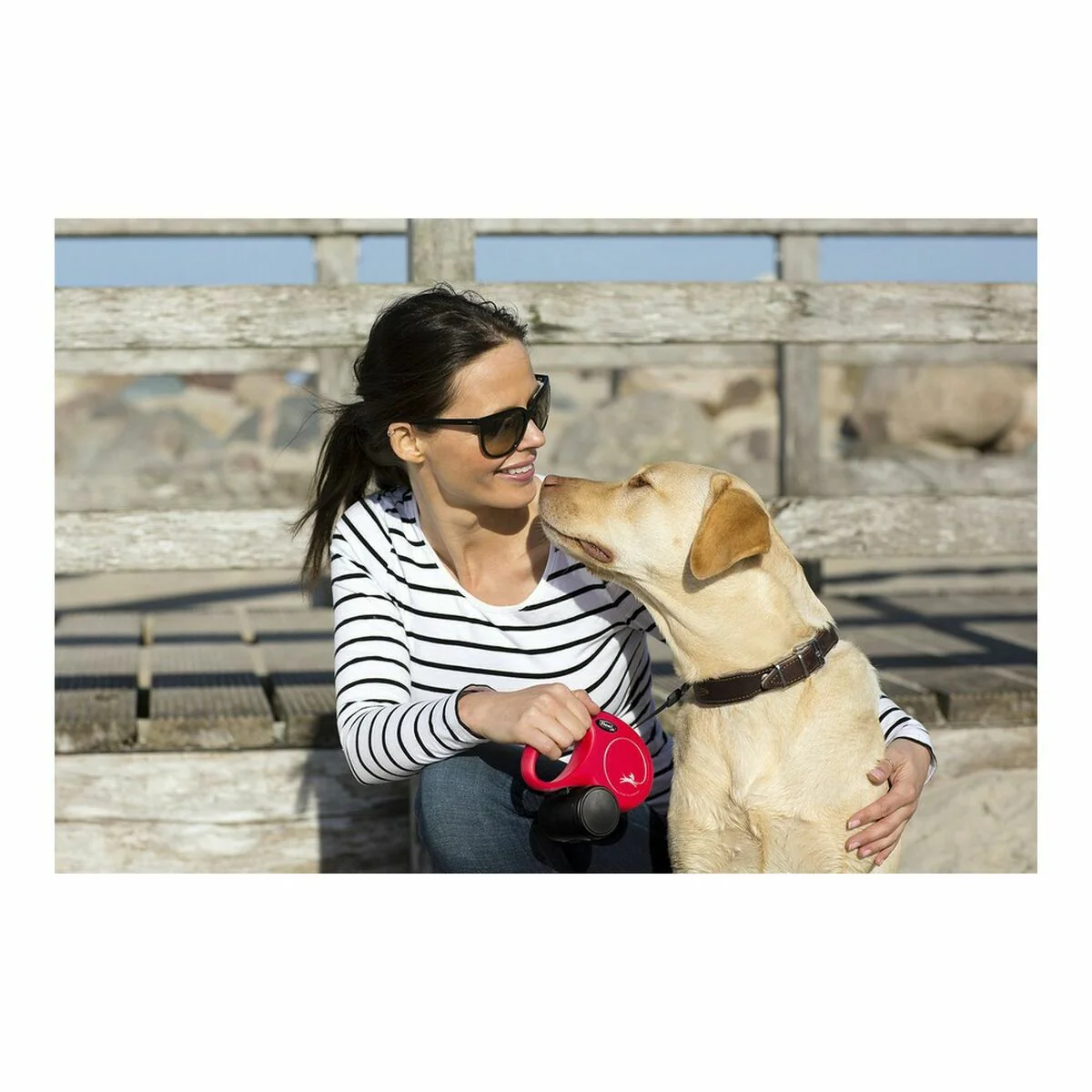 Correa Flexible Para Perros
