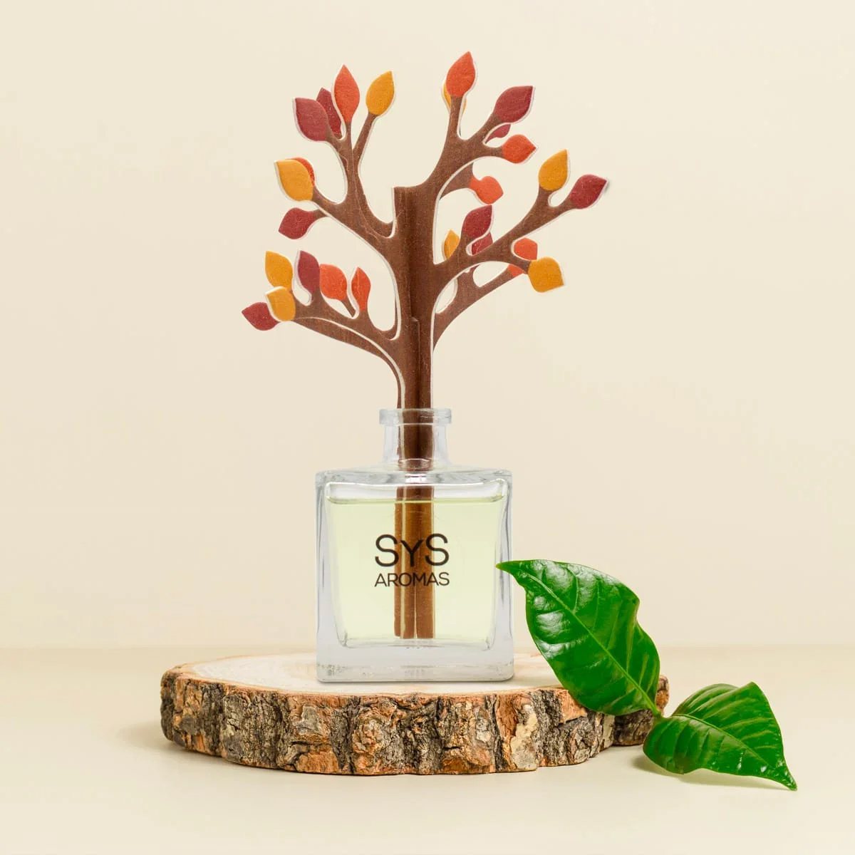 Difusor de Varillas Aloe Vera y Bambú 90 ml | Aroma Fresco Natural | Mikado Hogar | Ambiente Relajante - Image 4