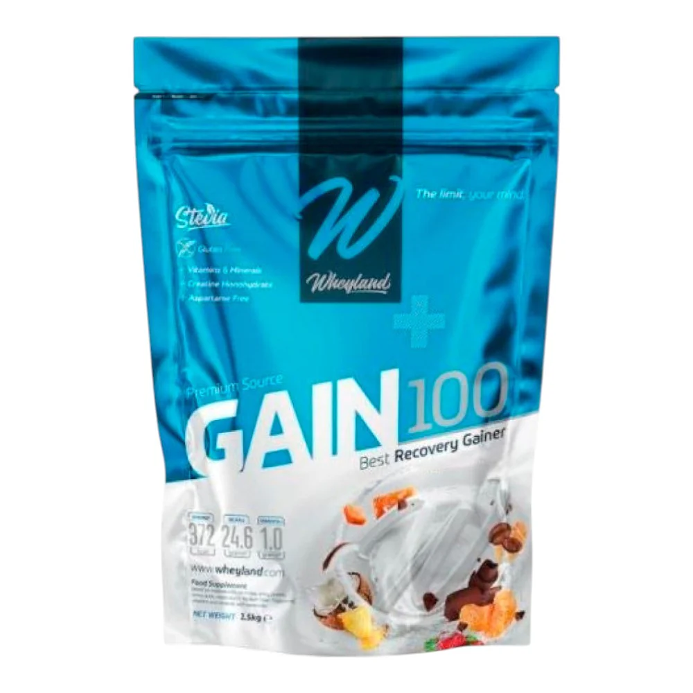 Gain 100 3 Kg Vainilla