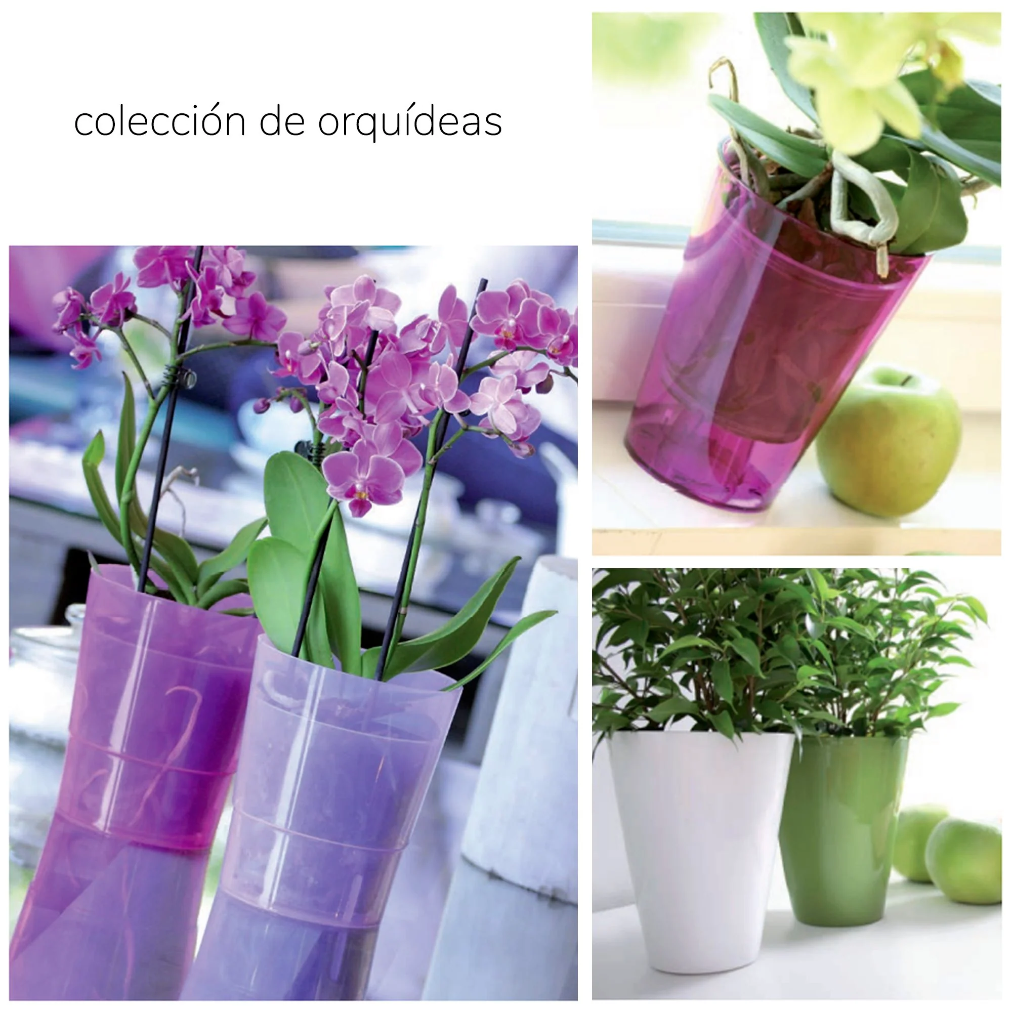 Maceta Coubi Orchid 1,1l., Dimensiones (mm) 125x125x147, Color Rosa Transparente - Image 2