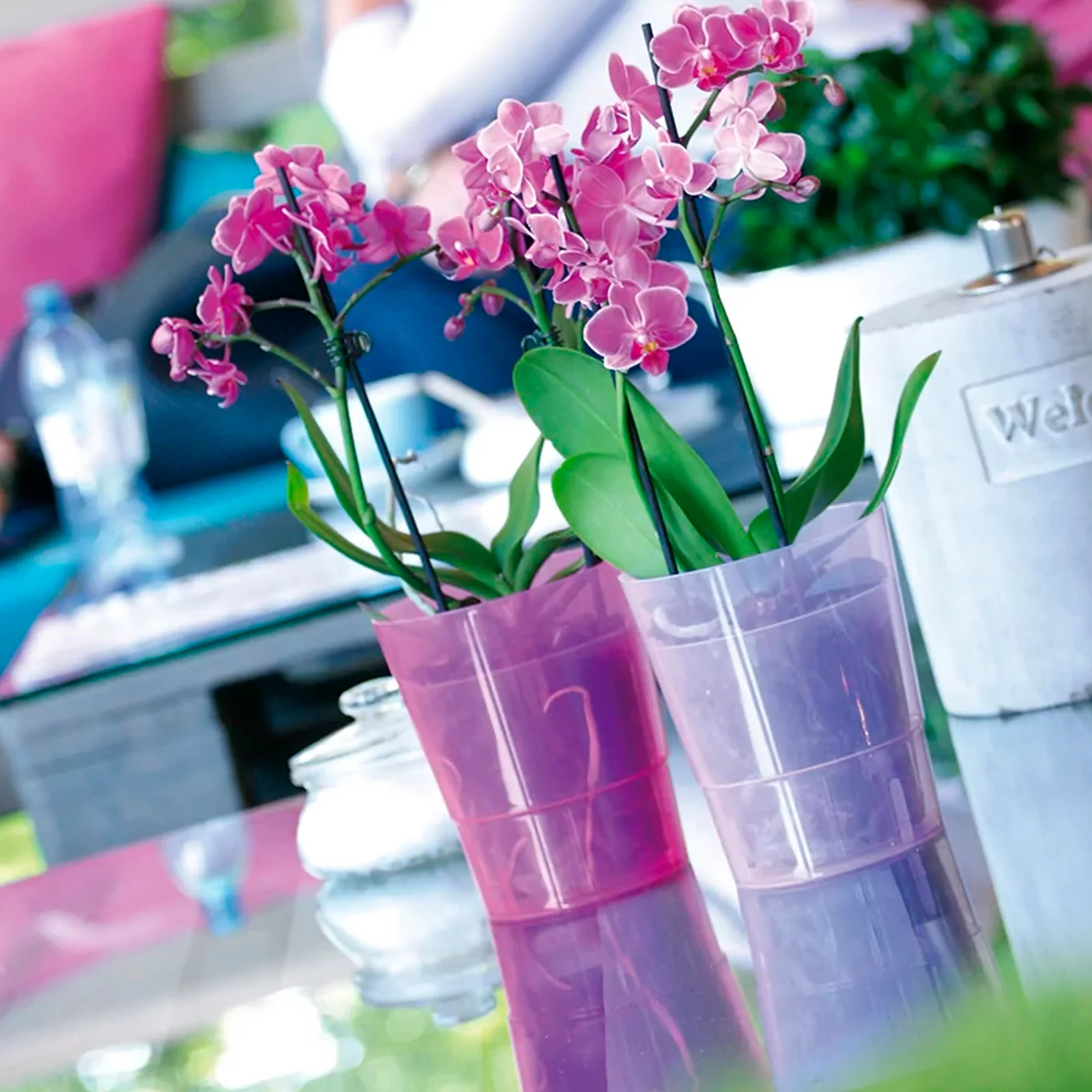 Maceta Coubi Orchid 1,1l., Dimensiones (mm) 125x125x147, Color Transparente - Image 4