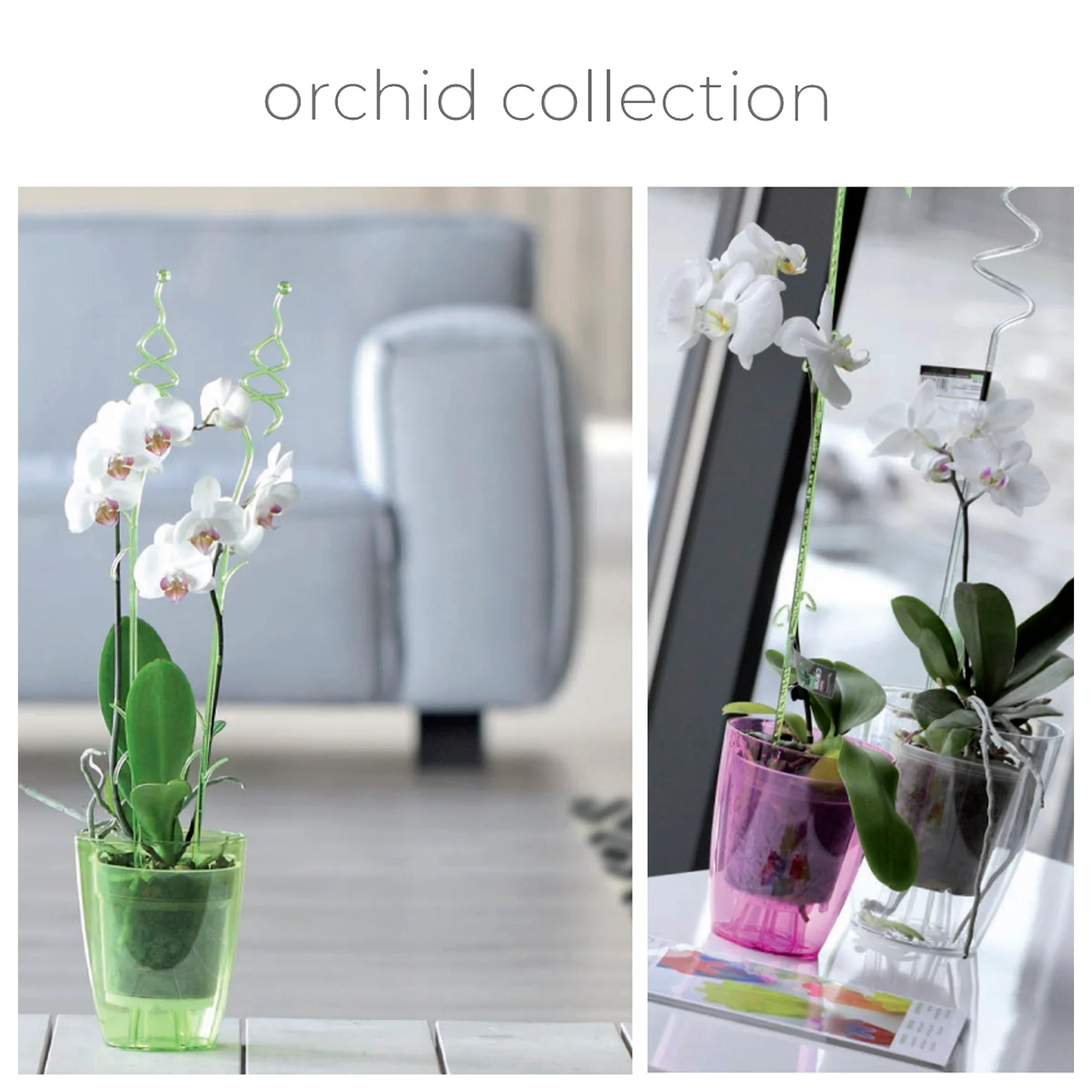 Maceta Coubi Orchid 2,4l., Dimensiones (mm) 160x160x183, Color Violeta Transparente - Image 2