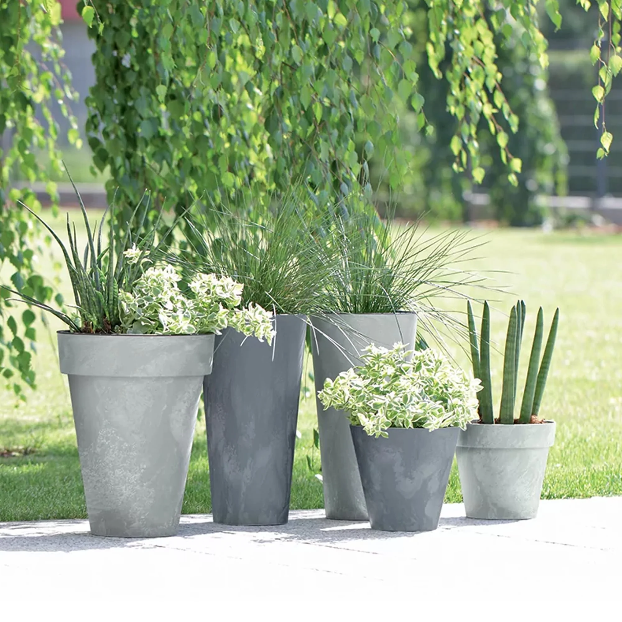 Maceta Cube Beton Effect 2,2l., Dimensiones (mm) 170x170x150, Color Antracita - Image 5