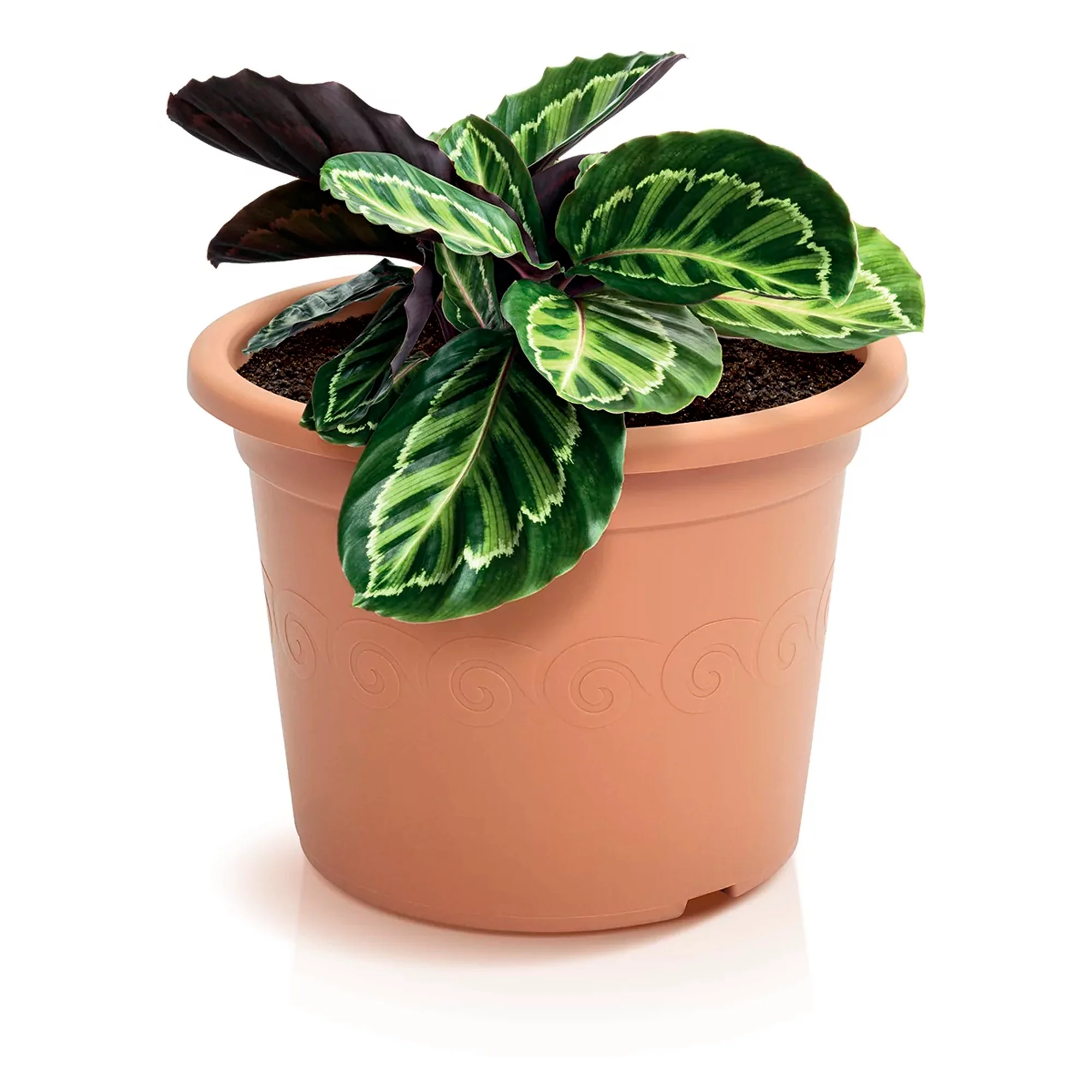 Maceta Plastica 6,5l., Dimensiones (mm) 280x280x212, Color Terracota - Image 4