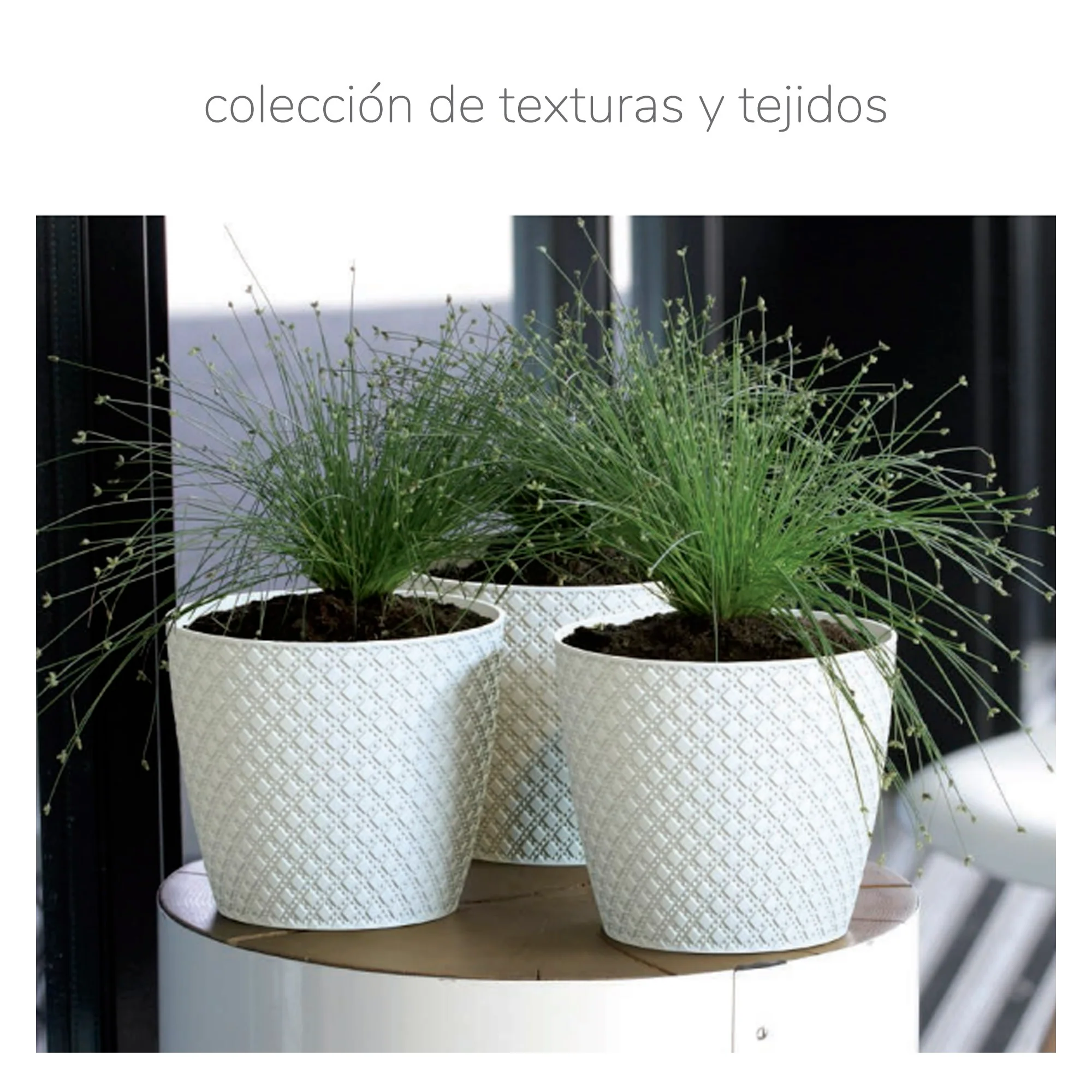 Maceta Wheaty 2l., Dimensiones (mm) 157x157x138, Color Gris Piedra - Image 2