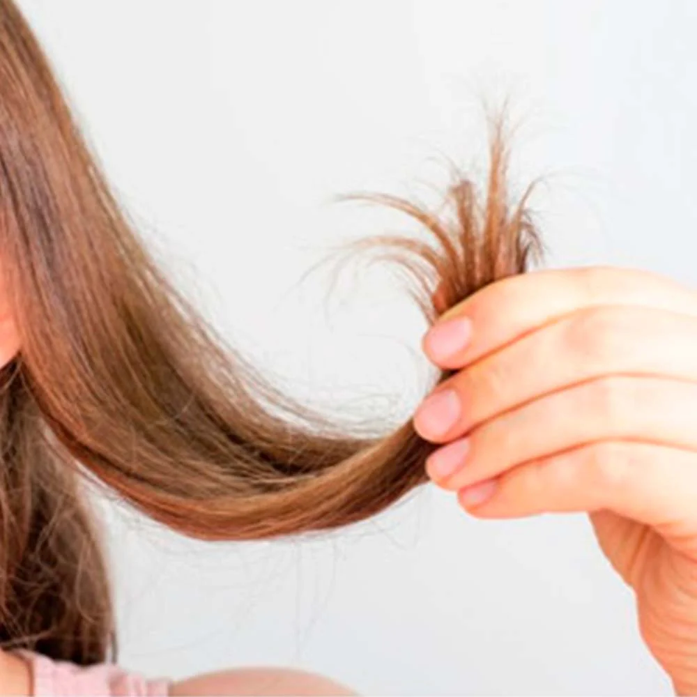 Pack 2 Champú Sólido para Cabello Fino - 100% Natural - Aporta Volumen, Brillo y Suavidad - Con Manteca y Polvo de Cacao - Image 2