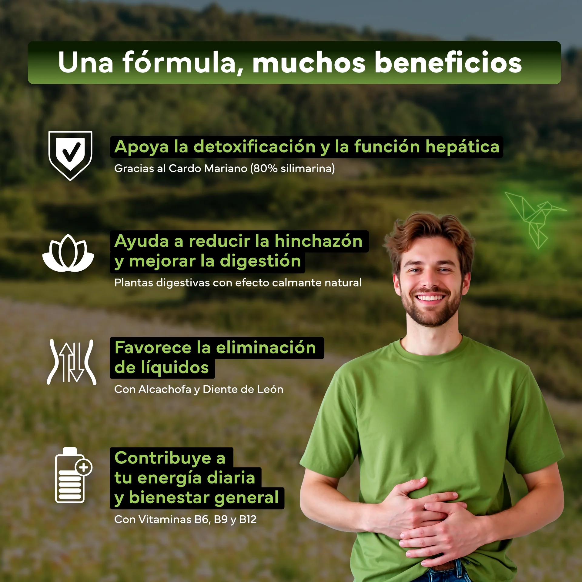 Pack 2x Cardo Mariano Detox Sevens Nutrition. Hígado Sano Y Depuración Natural. - Image 3