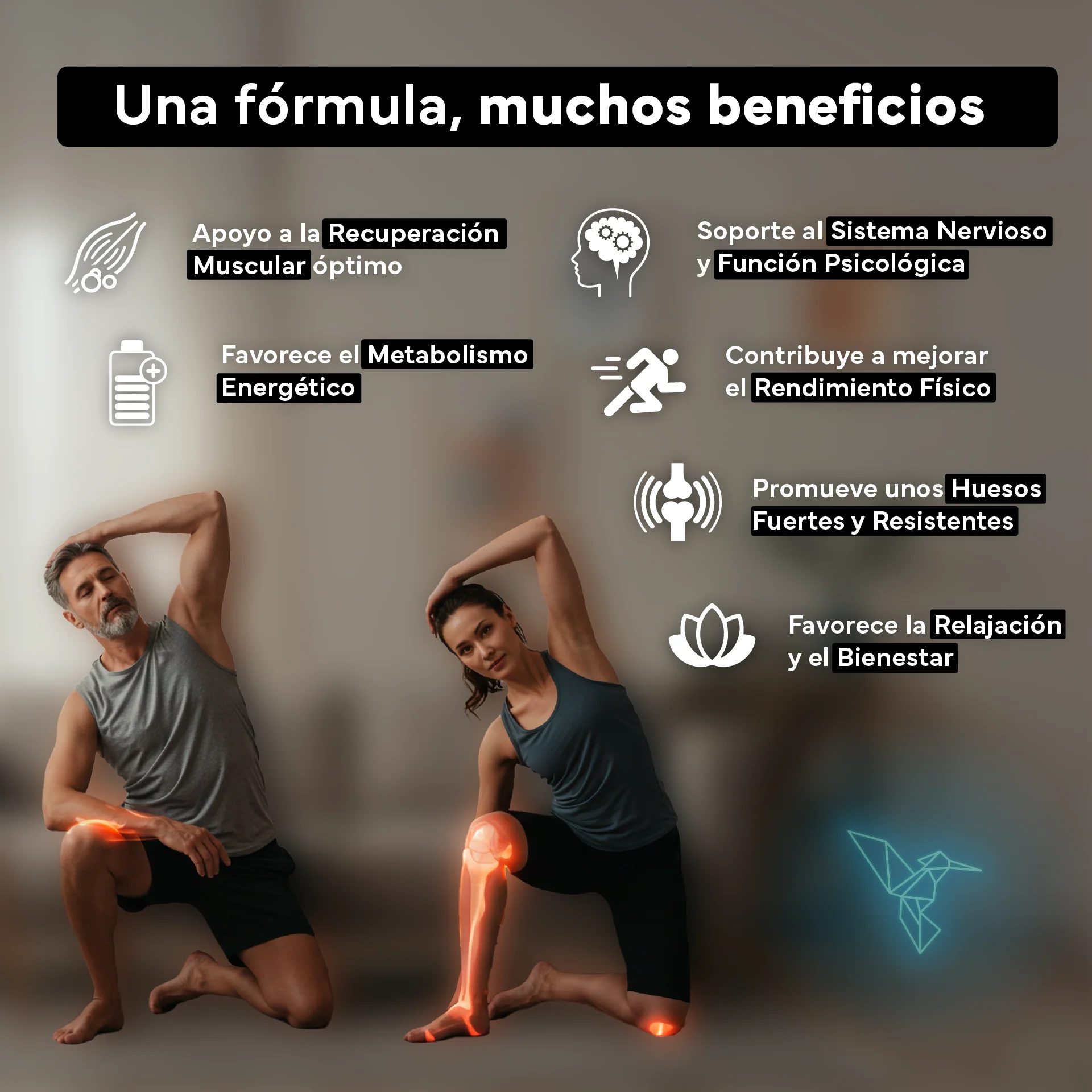 Pack 2x Magnesio (bisglicinato, Citrato, Taurato Y Malato). Sevens Nutrition. Energía, Rendimiento Y Descanso - Image 3