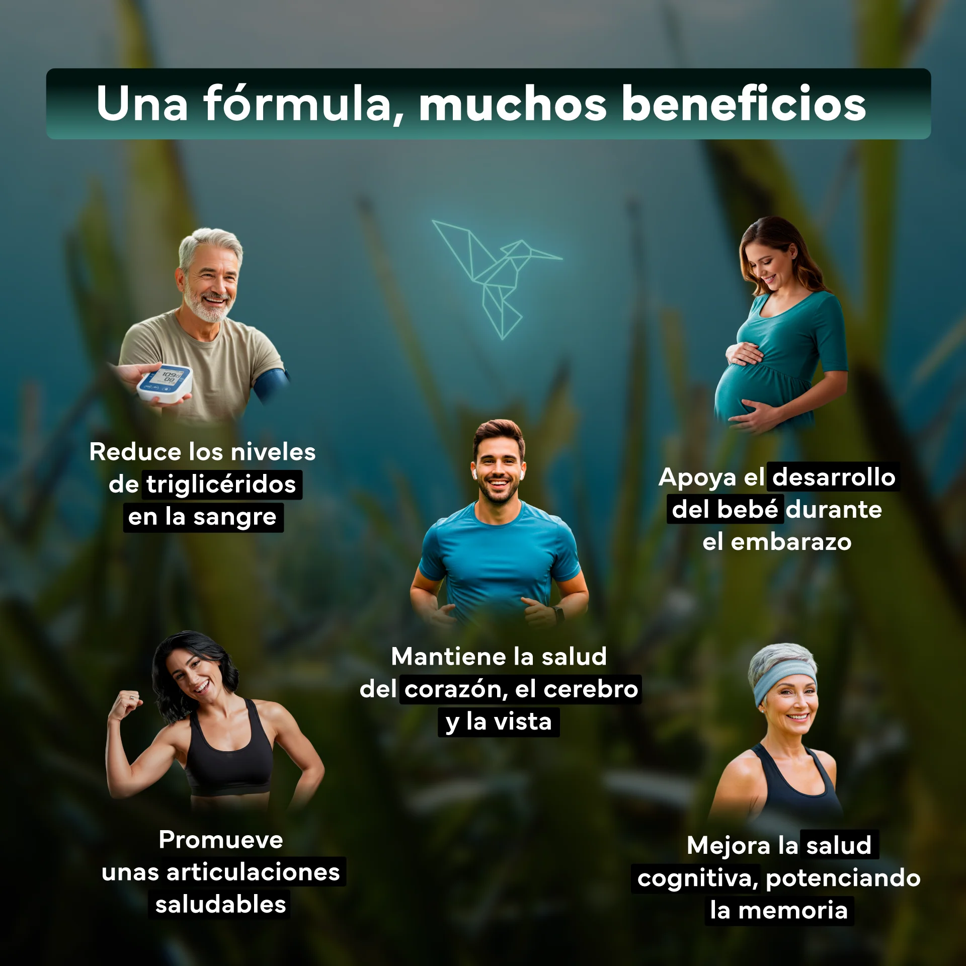 Pack 2x Omega 3 Vegano Sevens Nutrition. Dha Puro Para Cerebro, Visión Y Salud. - Image 3