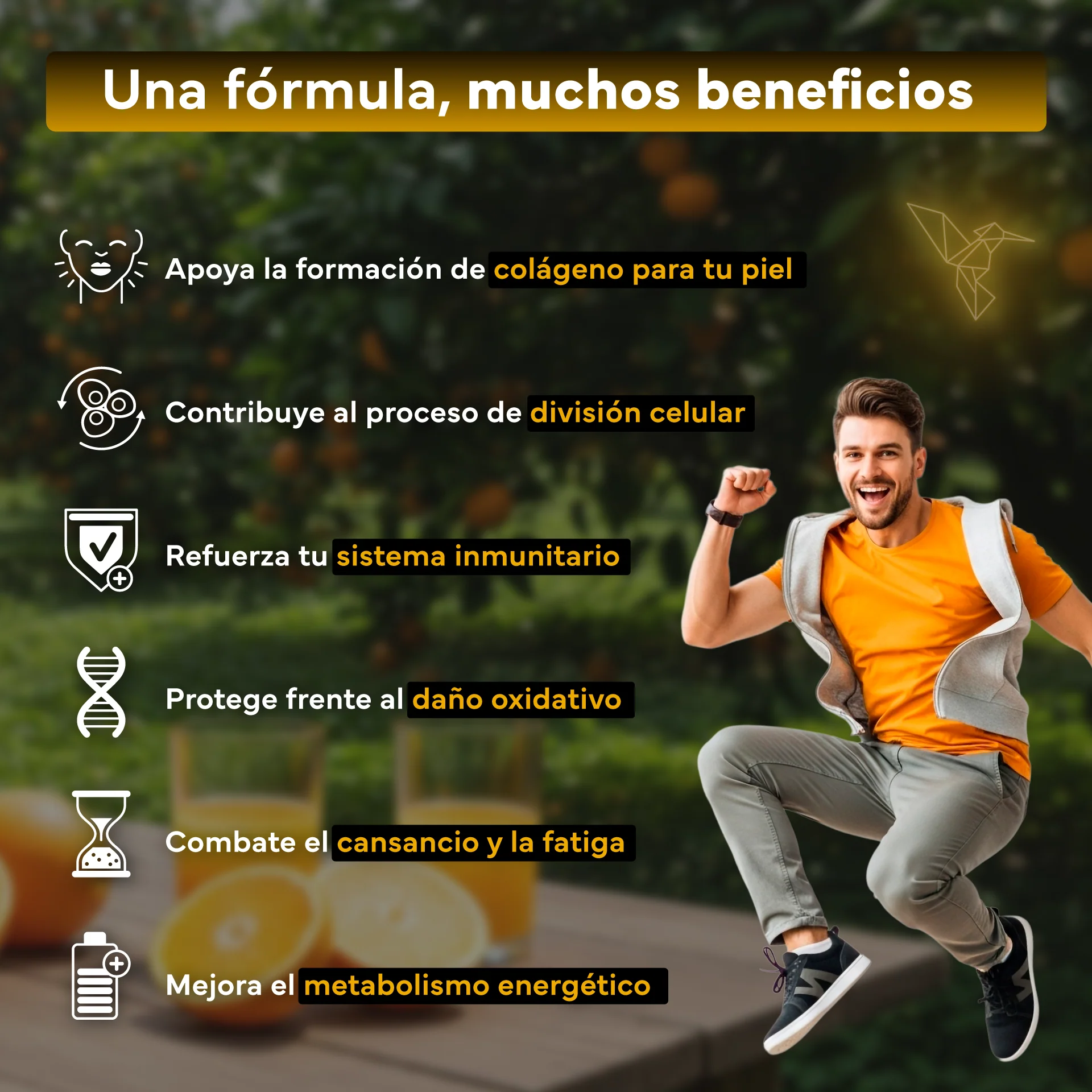 Pack 2x Vitamina C Con Zinc, Bioflavonoides Y Rosa Mosqueta De Sevens Nutrition. Refuerzo Del Sistema Inmunológico - Image 3