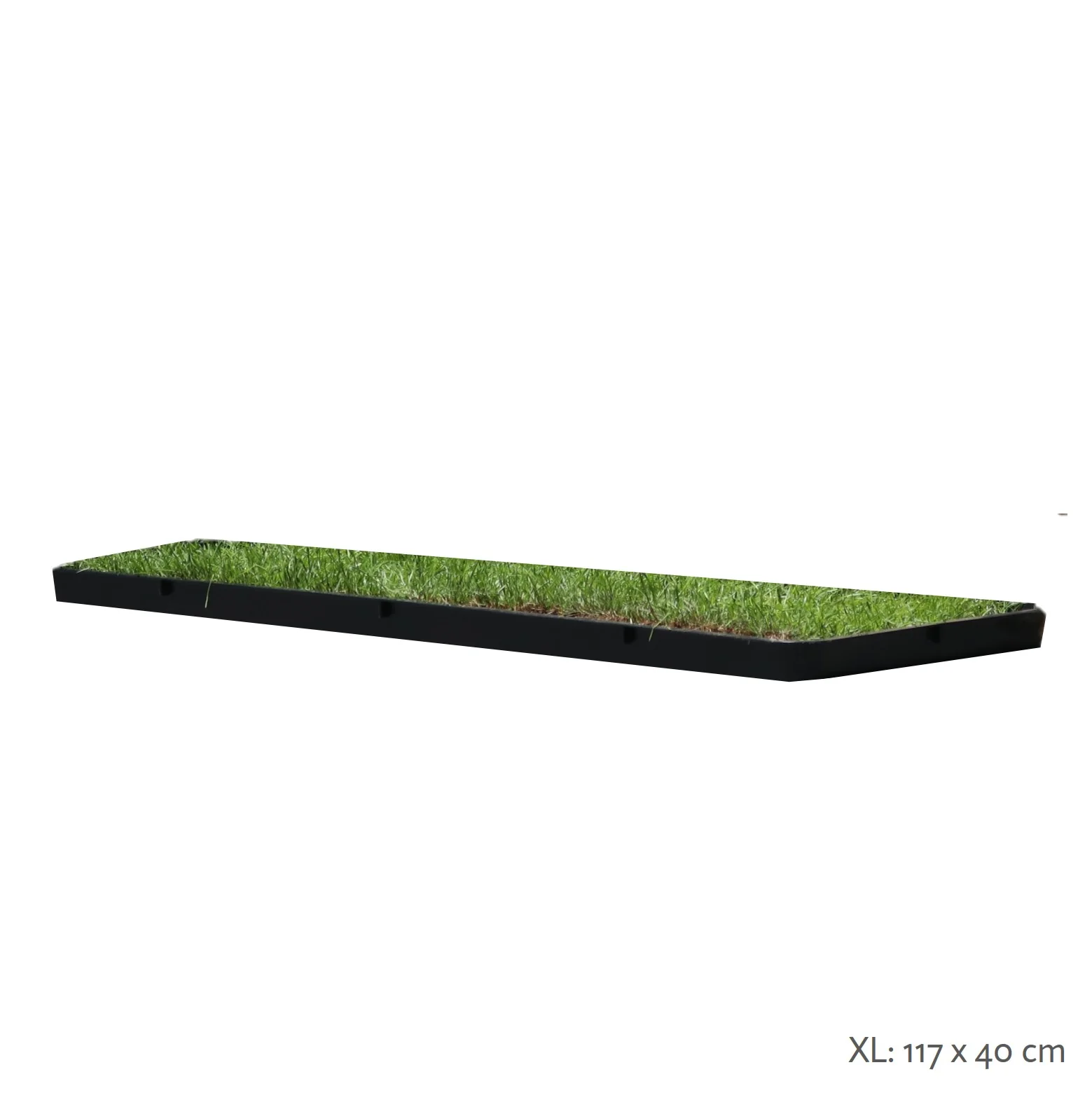 Petground, Arenero Para Gatos, Cama De Césped Natural, Hierba Gatera, Alfombra Olfativa Xl Xl: 117 X 40 Cm - Image 3