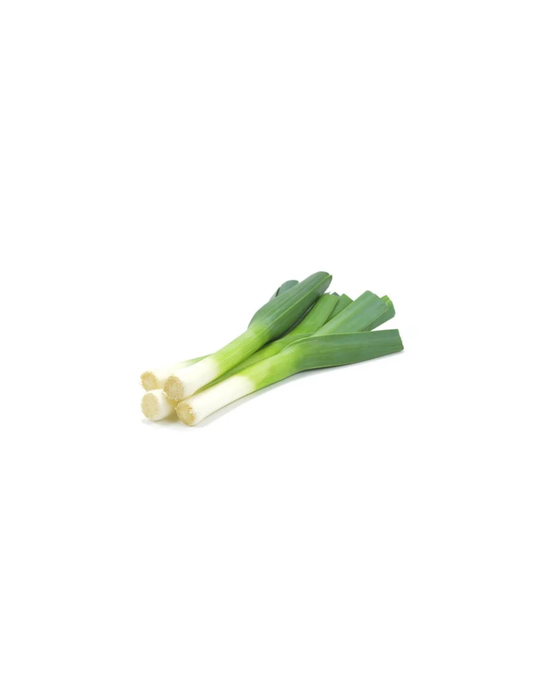 Alimentación
