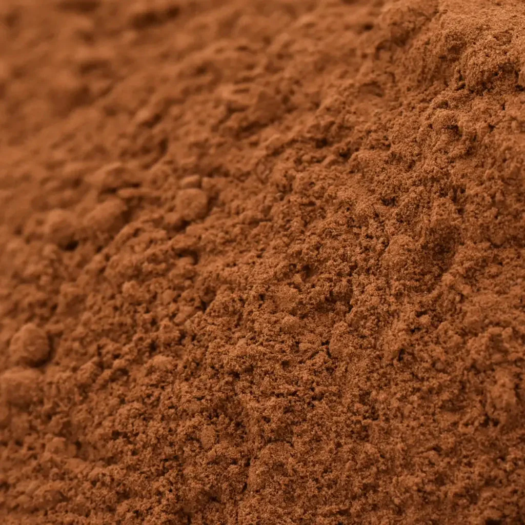 Reishi En Polvo Bio - 100g - Image 2