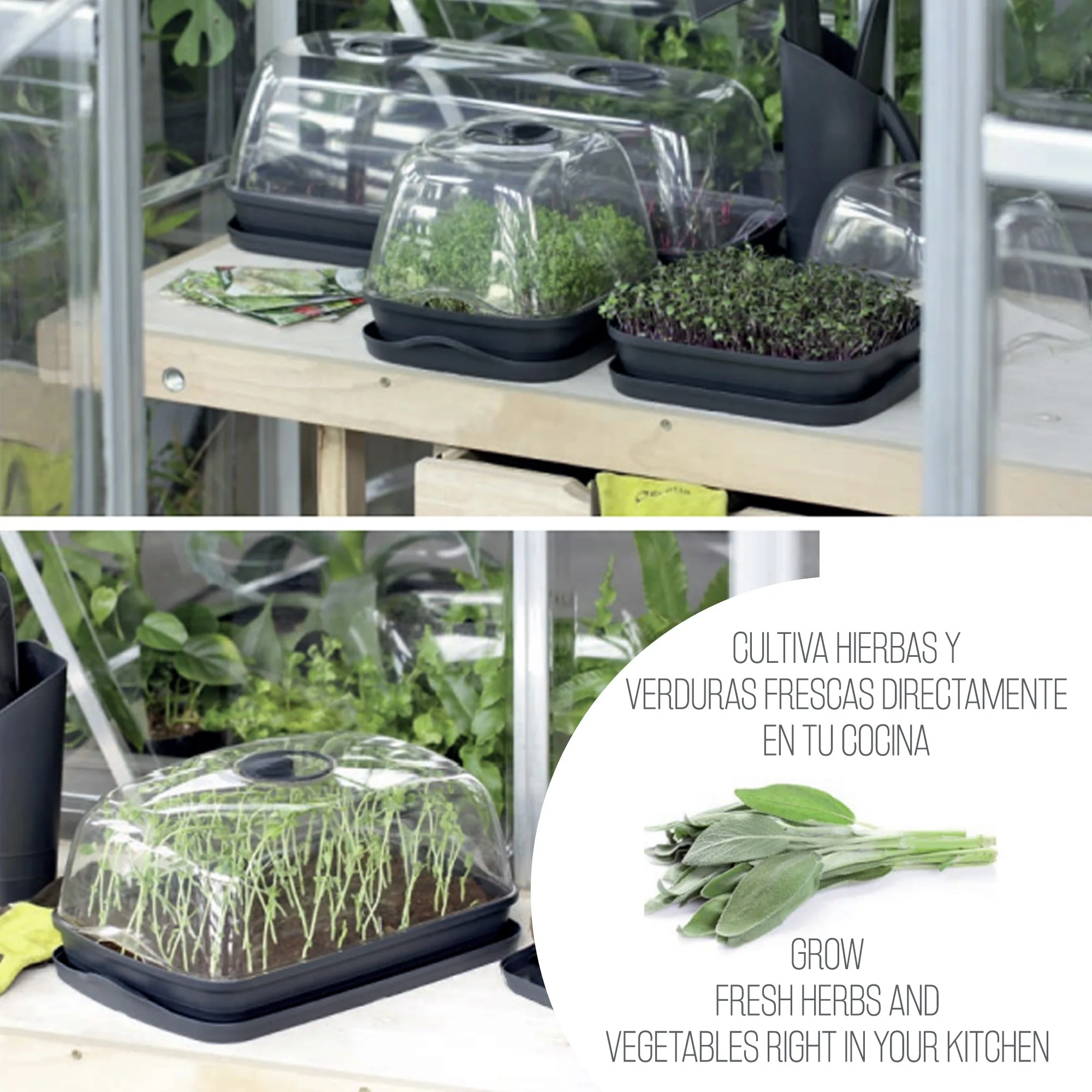 Semillero/bandeja Multiusos Respana Table Greenhouse, Dimensiones (mm) 257x196x185, Color Gris Piedra - Image 4