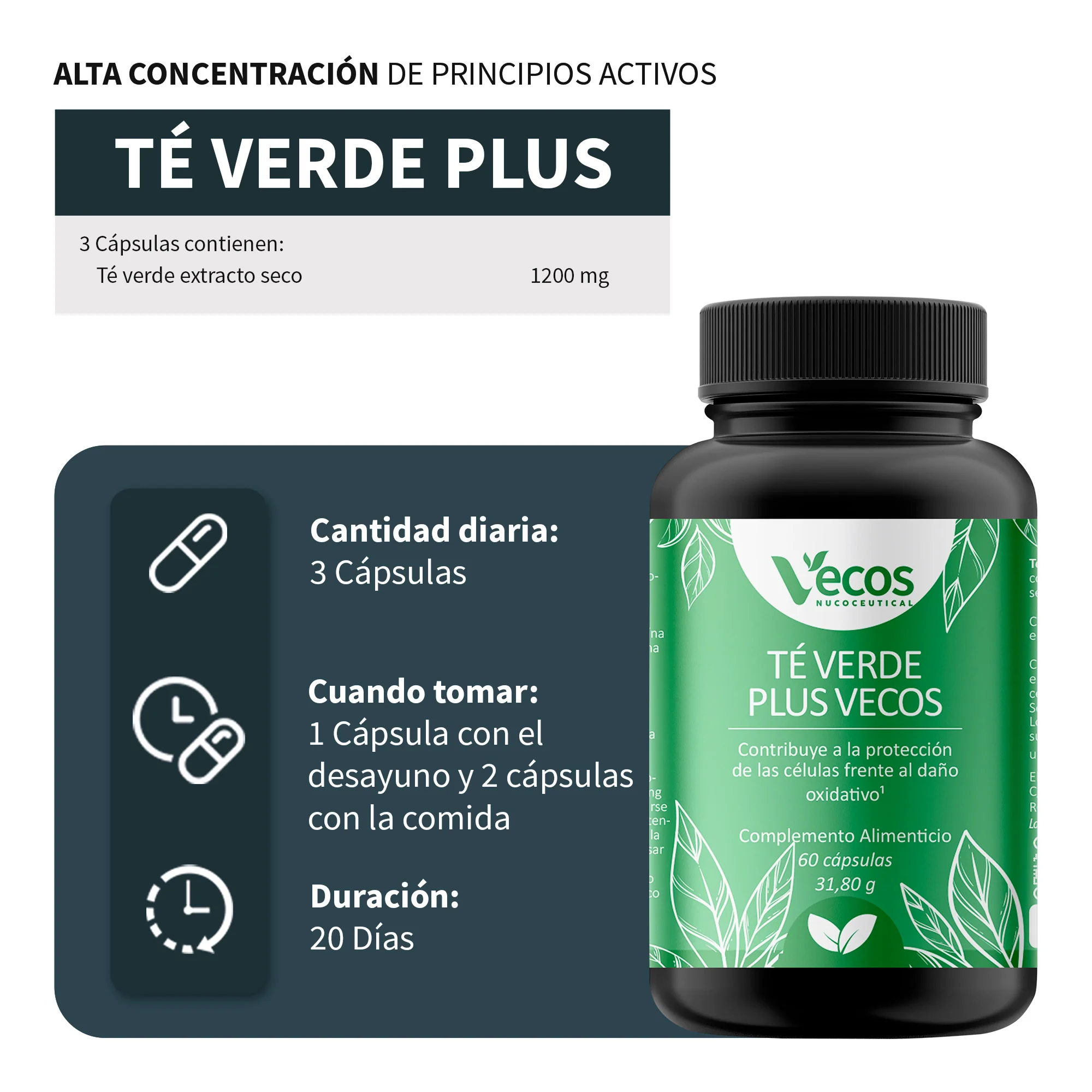 Té Verde Plus Vecos 60 Cápsulas | Control De Peso Y Metabolismo | Con Egcg Y Vitamina C - Image 3