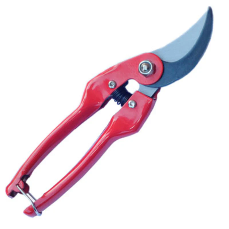 Tijera 1 M Mangos Metal 21cm - Ct22